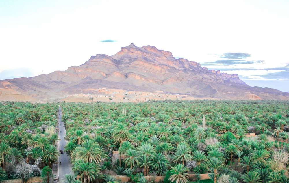 excursion marrakech